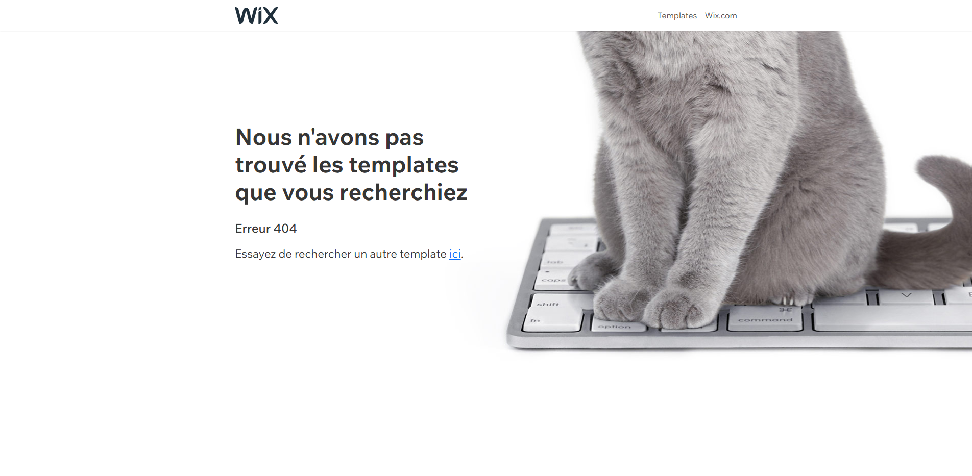 Interface Wix Stores