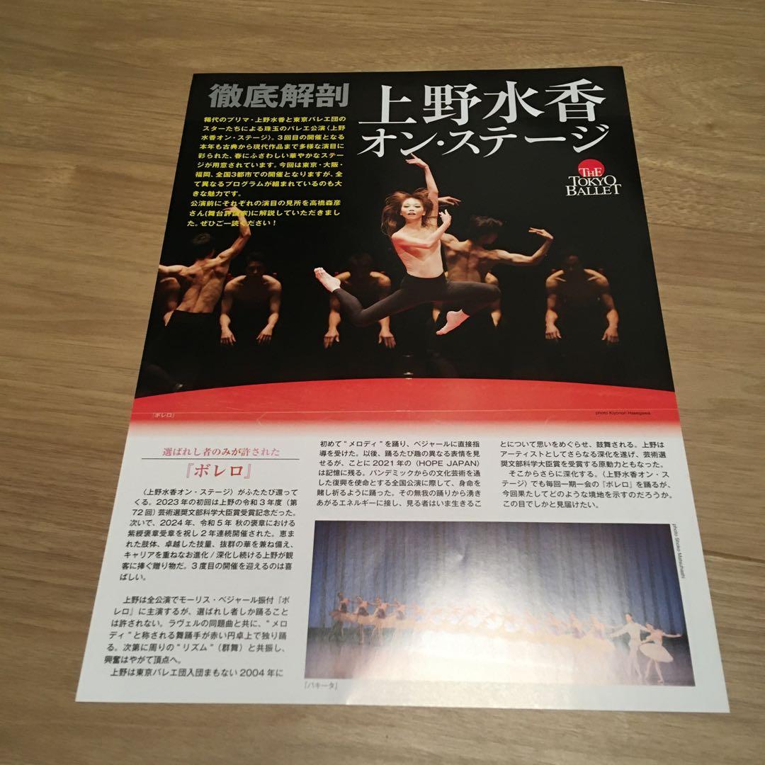 【Excellent Condition】Mizuka Ueno - Performance Flyers, etc. (4 items)