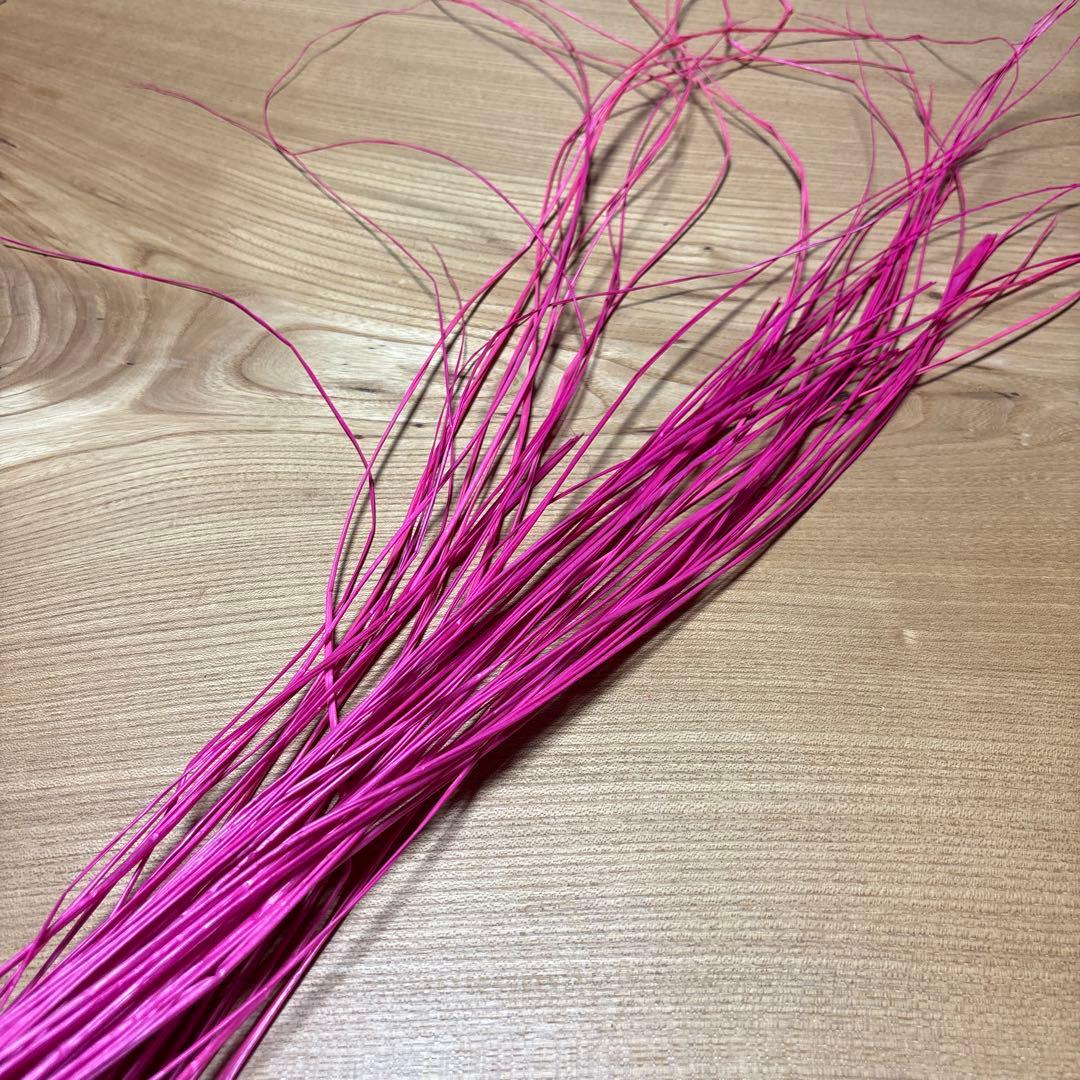 Nearu Fluorescent Pink 50 pcs Tahitian Dance Hawaii Hula Dance