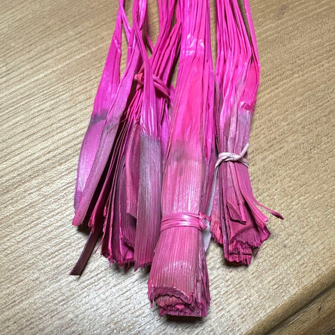 Nearu Fluorescent Pink 50 pcs Tahitian Dance Hawaii Hula Dance