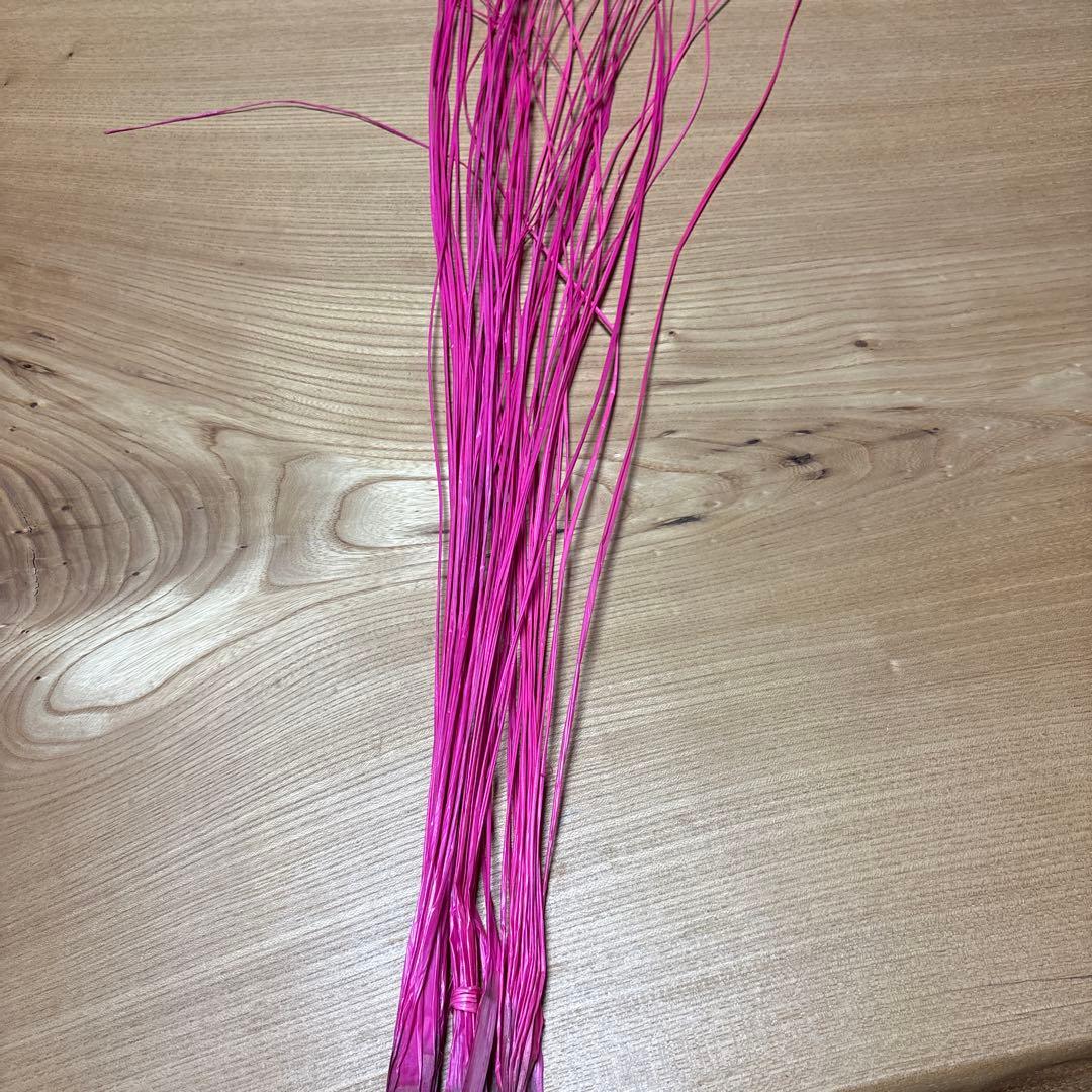 Nearu Fluorescent Pink 50 pcs Tahitian Dance Hawaii Hula Dance