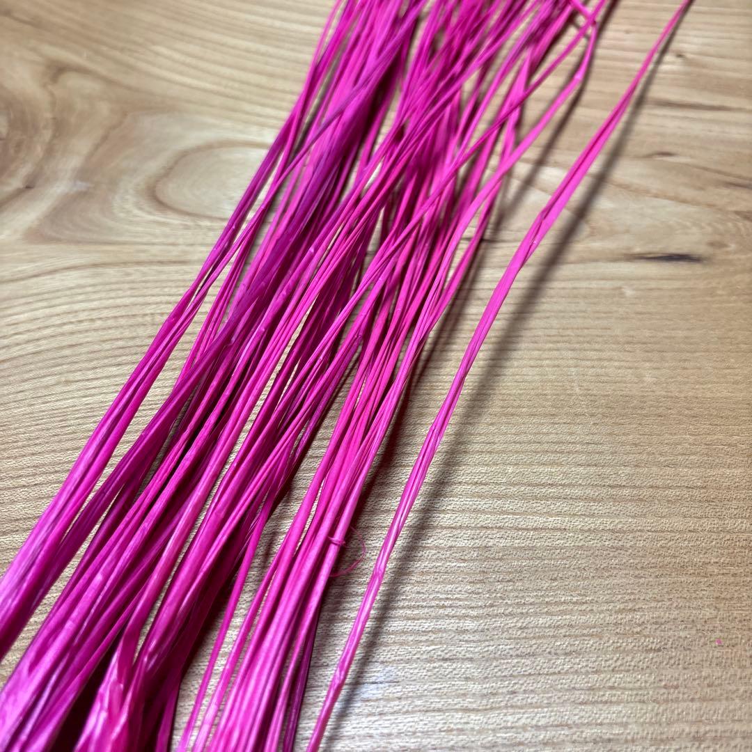 Nearu Fluorescent Pink 50 pcs Tahitian Dance Hawaii Hula Dance